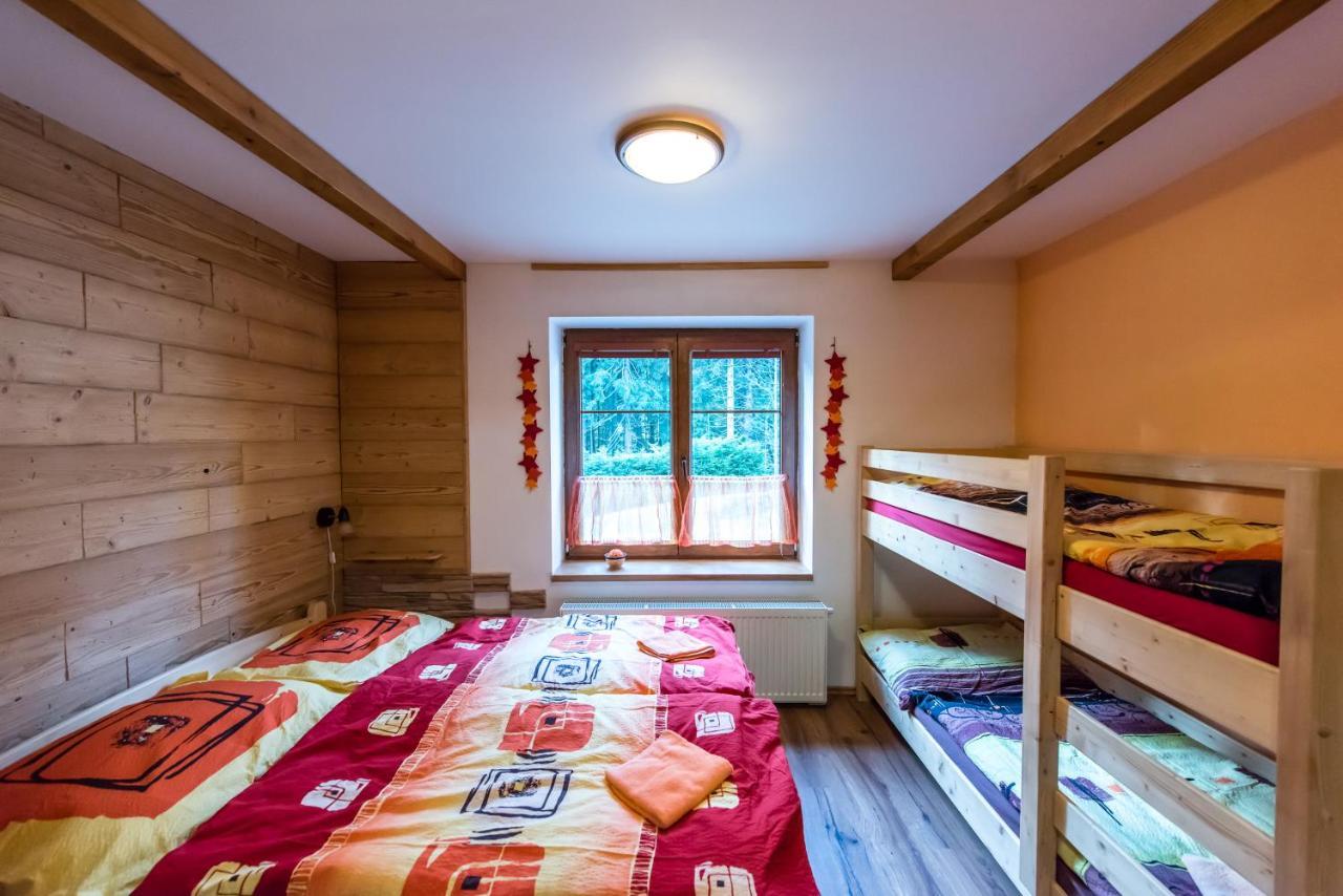 Apartmany Domino Železná Ruda エクステリア 写真
