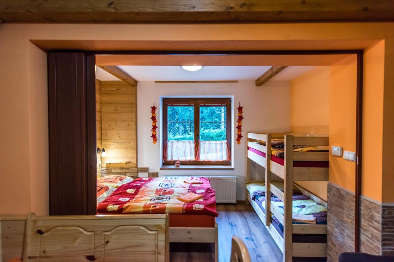 Apartmany Domino Železná Ruda エクステリア 写真
